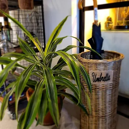 Cocoa Lily - River Fronted Studio In The City With Secure Parking * York