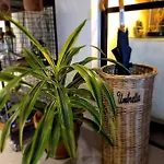 Cocoa Lily - River Fronted In The With Secure Parking * 约克