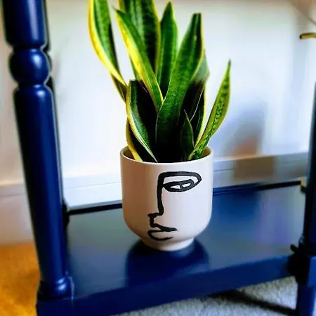 Cocoa Lily - River Fronted Studio In The City With Secure Parking 公寓 *