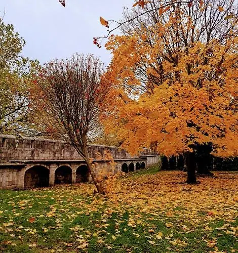 Cocoa Lily - River Fronted In The With Secure Parking