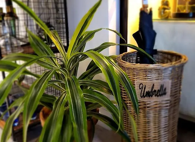 Cocoa Lily - River Fronted In The With Secure Parking * יורק